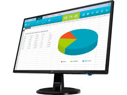 HP N246V 23.8inch HDMI Monitor