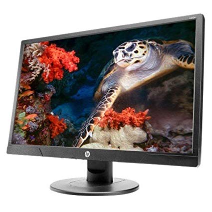 HP V214A 20.7inch Monitor